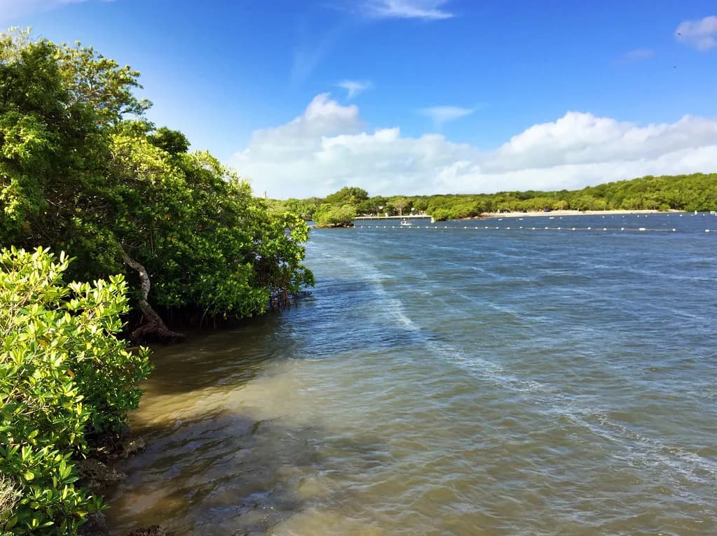Key Largo Snorkeling Tours: Which Reef Trip Fits Your Day