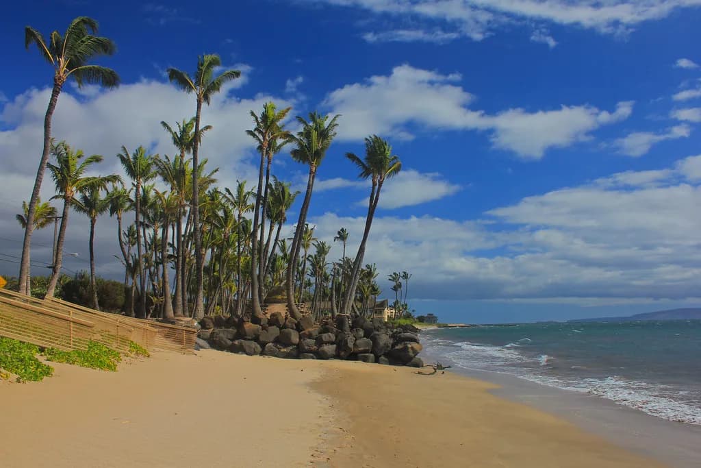 Kihei Snorkeling: Shore Spots, Reefs and Boat Trips