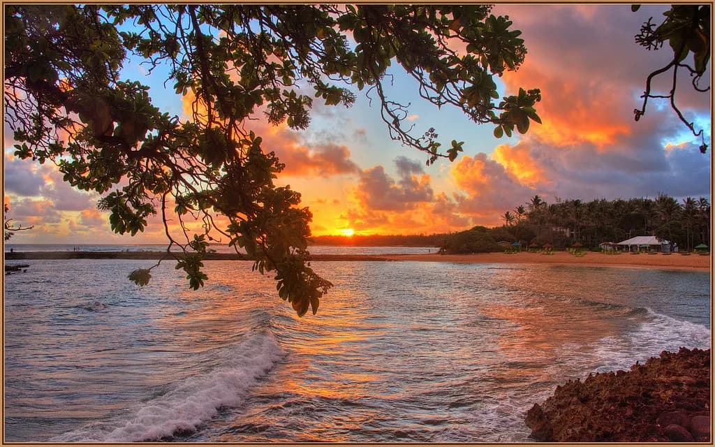 Kuilima Cove Snorkeling: Oahu's Calm North Shore Bay
