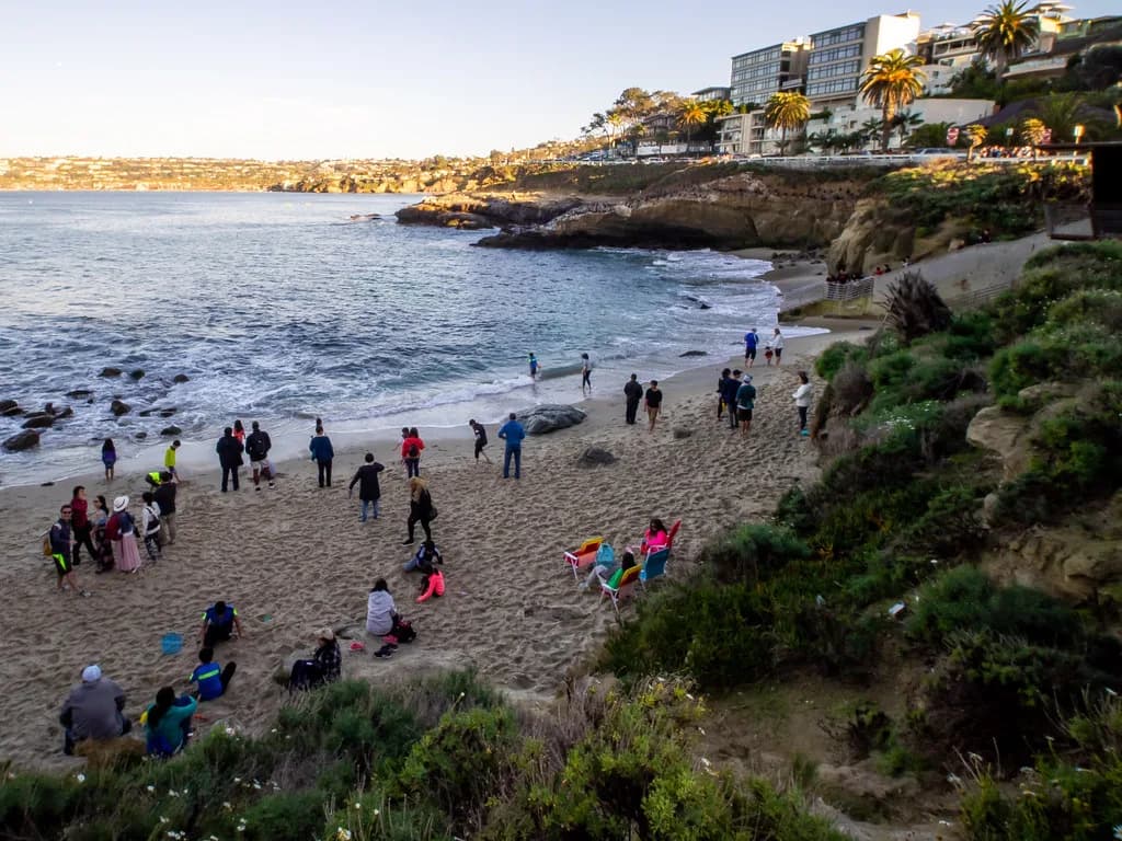 La Jolla Cove Snorkeling Guide: Entry, Marine Life, and Tips