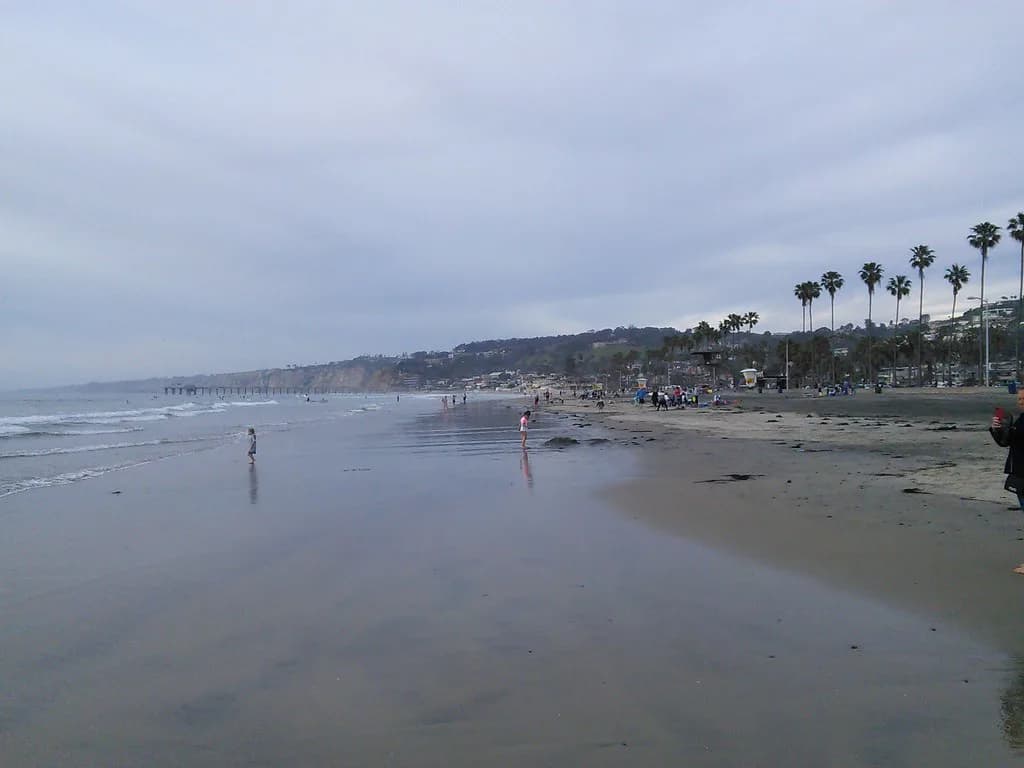Snorkeling Leopard Sharks in La Jolla: La Jolla Shores Guide