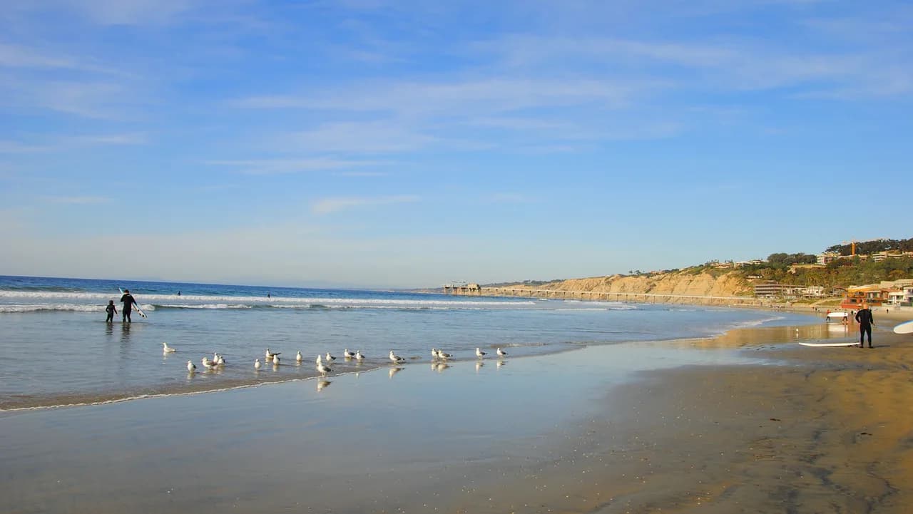 La Jolla Shores Snorkeling: Reef Depth & Wildlife Guide
