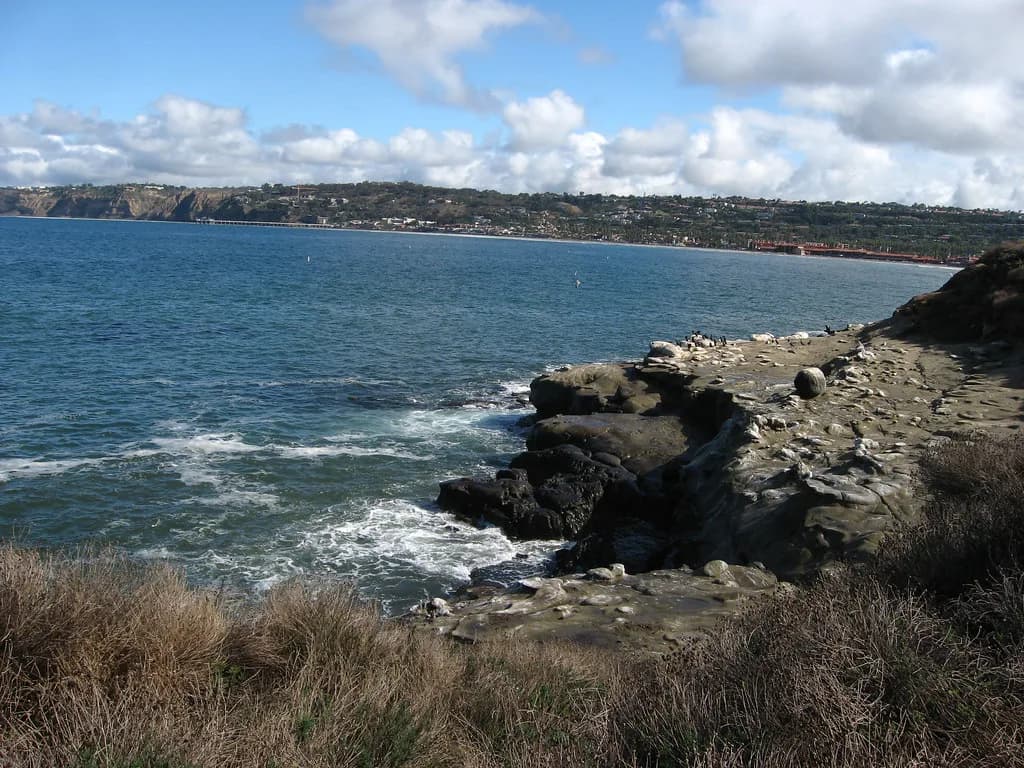 La Jolla Snorkeling Tours: Which Trip Fits Your Group
