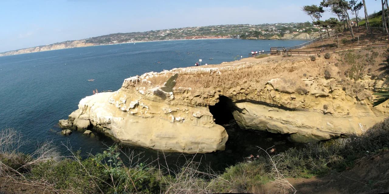La Jolla Underwater Park Snorkeling: Entry Points & Sharks