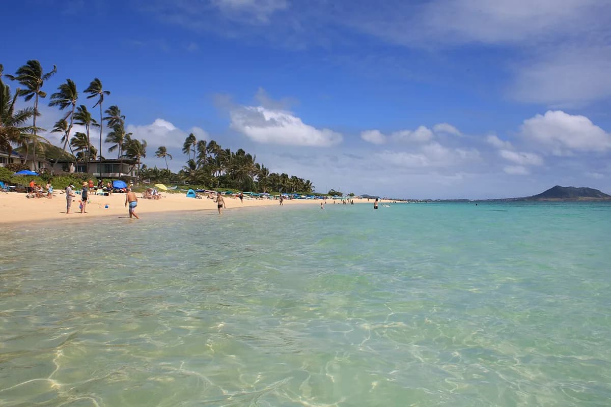 Lanikai Beach Snorkeling Guide: Plan Your Oahu Day Trip
