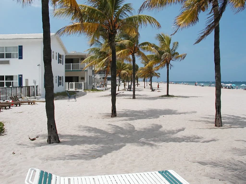 Lauderdale-by-the-Sea Snorkeling: Reefs You Can Swim To From the Beach