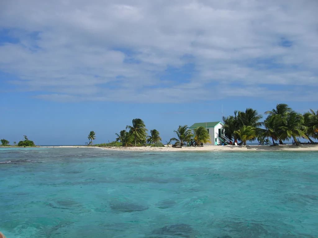 Laughing Bird Caye Snorkeling: What the Reef Is Like