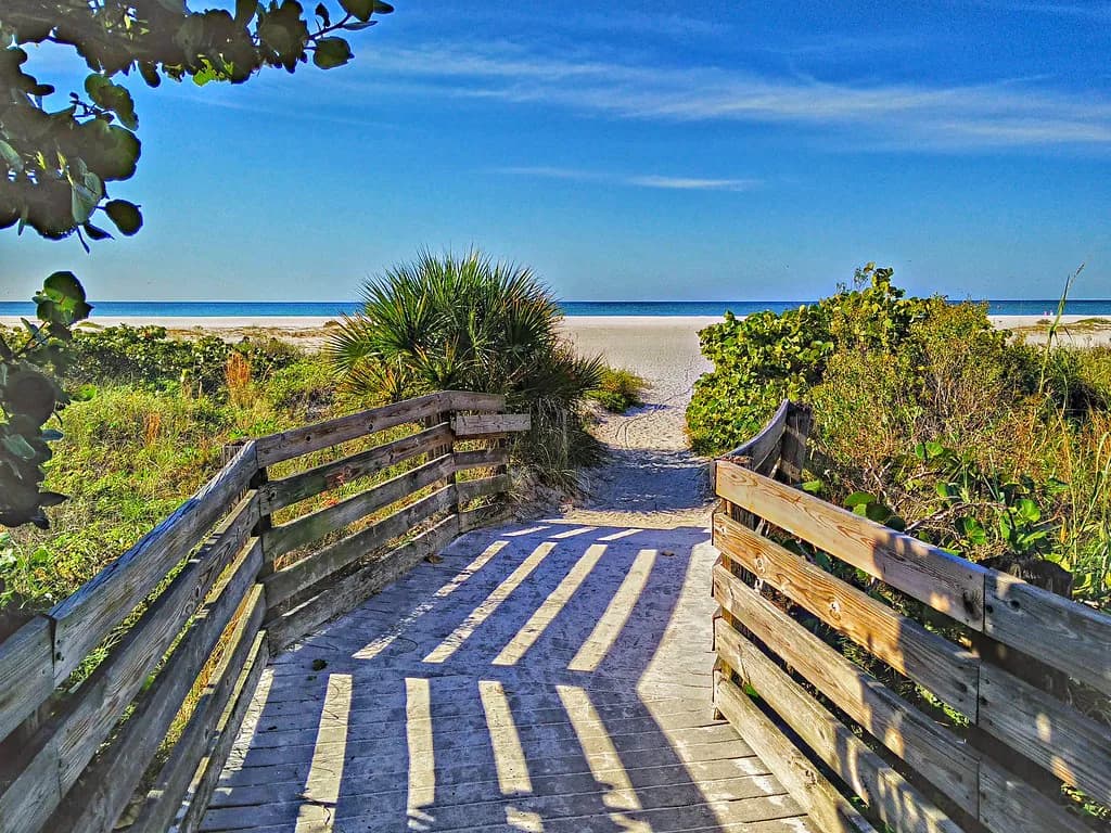 Lido Key Snorkeling: Where to Get In and When to Go
