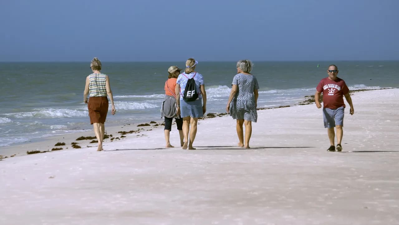 Longboat Key Snorkeling: Sarasota Reef and Beach Guide