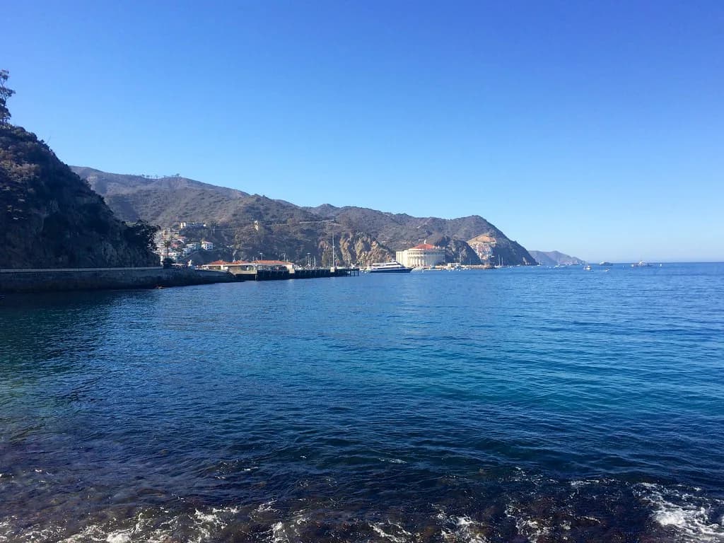Lovers Cove, Catalina Island: Snorkeling Guide for Beginners