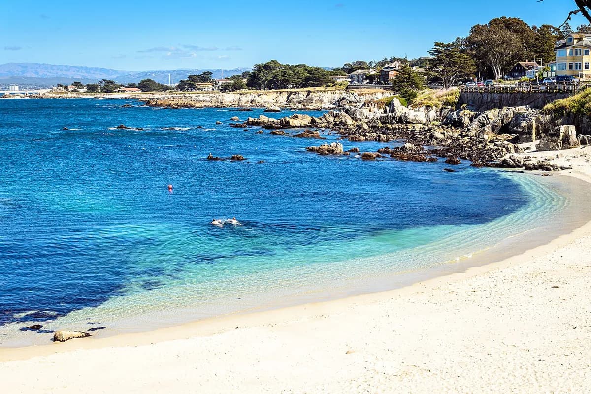 Lovers Point Snorkeling Guide: Monterey Entry and Kelp Beds