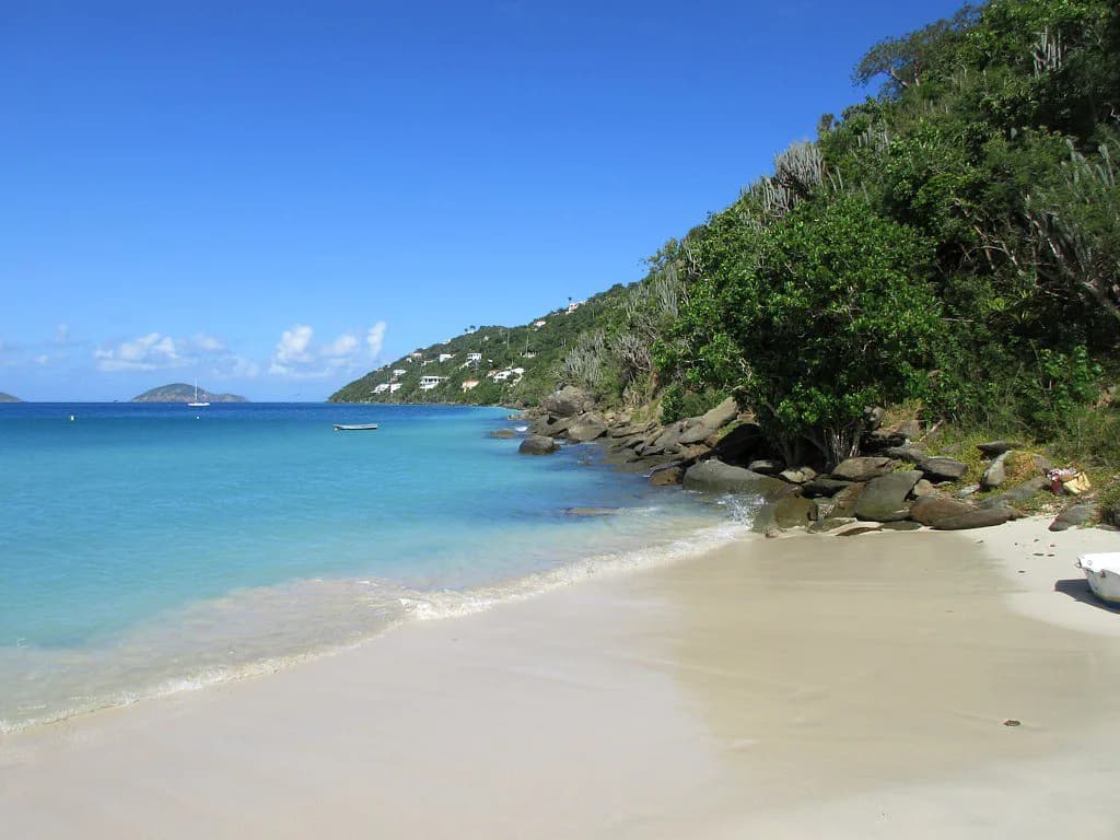 Magens Bay Snorkeling: Where the Reef Is and Who It Suits