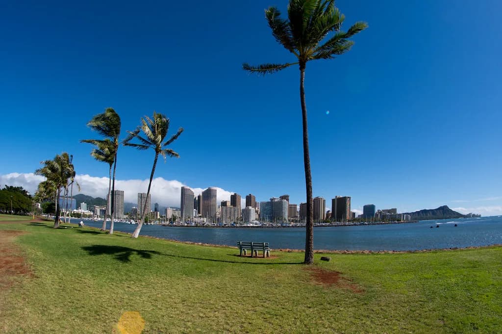 Magic Island Snorkeling: Oahu Lagoon Guide for Beginners