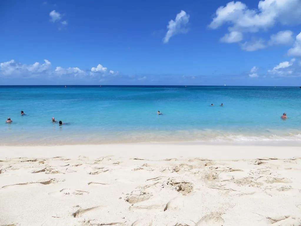 Maho Beach Snorkeling in St. Maarten: What to Expect