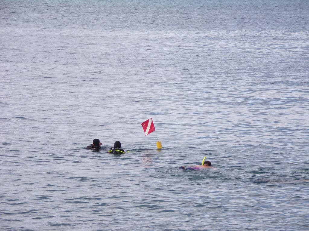 Makena Landing Snorkeling: Maui Entry Points & Best Timing