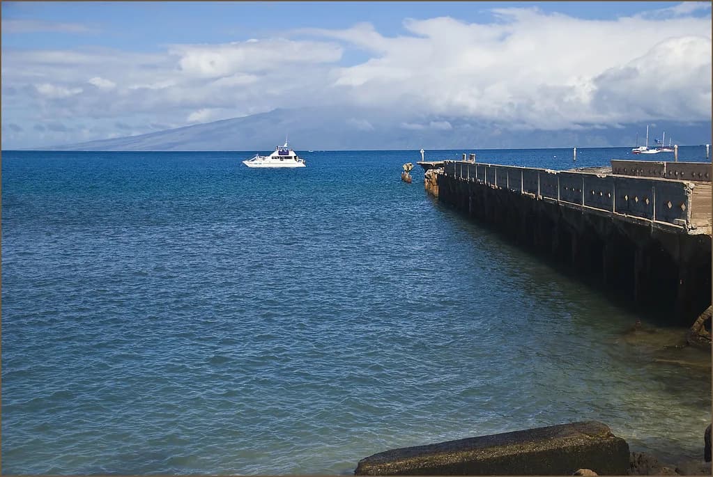 Mala Wharf Snorkeling, Maui: Entry, Turtles and Boat Traffic