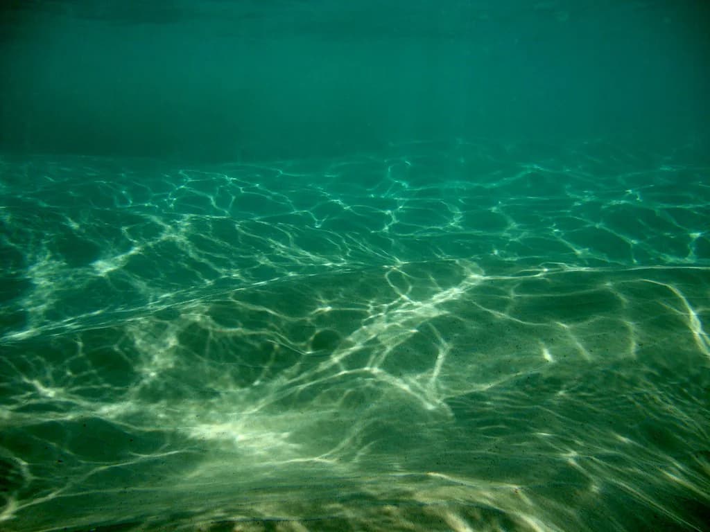 Maui Snorkeling Conditions: Best Time, Wind and Swell