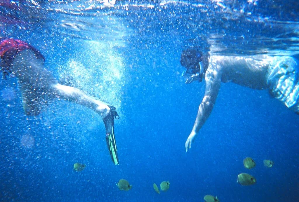 Maui Snorkeling for Beginners: Boat vs Shore Guide