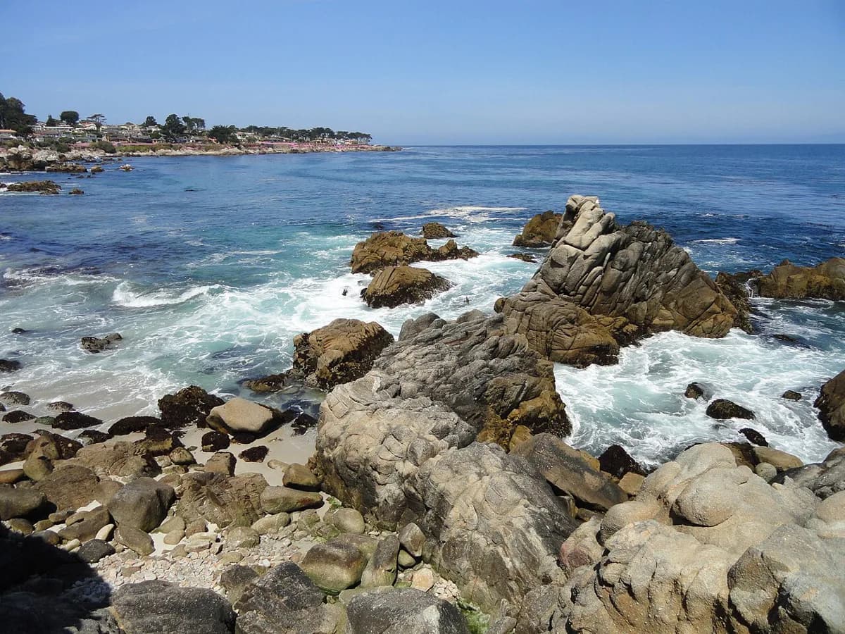 Snorkeling in Monterey: Kelp Forests, Beaches and Tours