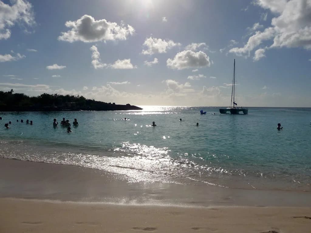 Mullet Bay Snorkeling: St. Maarten Reef Guide for Beginners