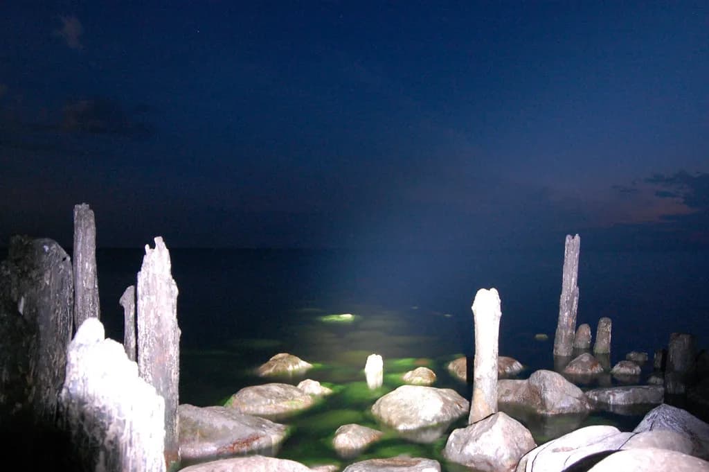 Night Snorkeling: Learn to Snorkel Guide, Gear & What to See