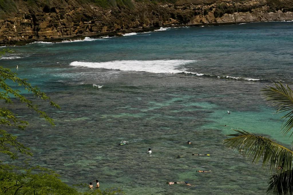 Snorkel Rental on Oahu: Where to Rent Gear and How to Choose