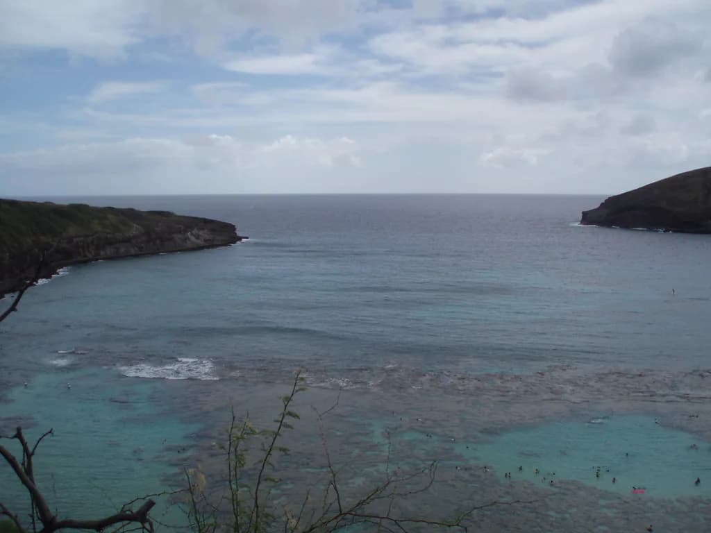Oahu Snorkeling Tours: Which Trip Fits Your Day