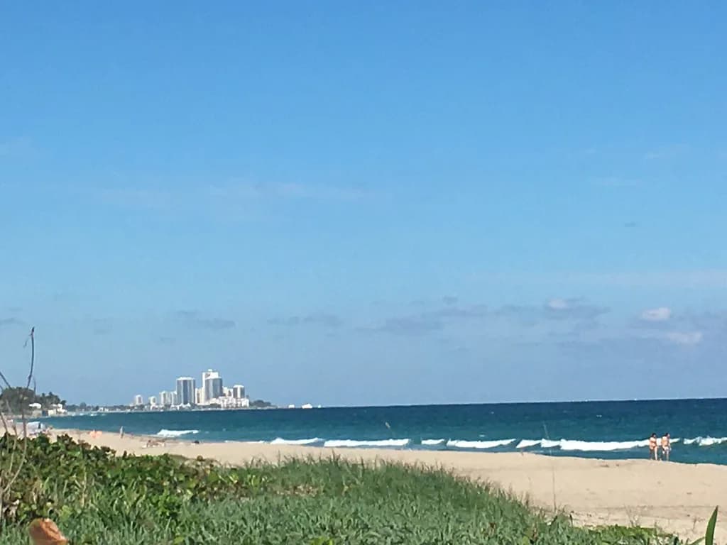 Snorkeling in Palm Beach: Where to Go and What to Book