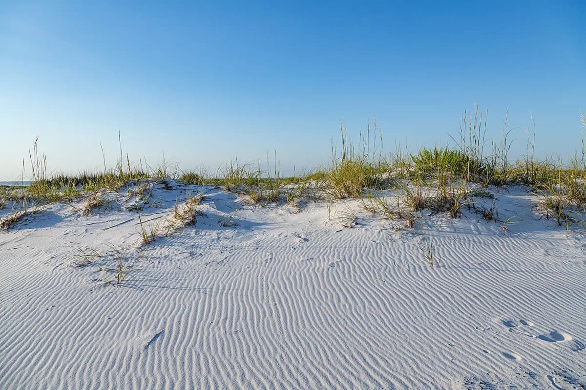 Park East Snorkel Reef: Pensacola Beach Reef Guide