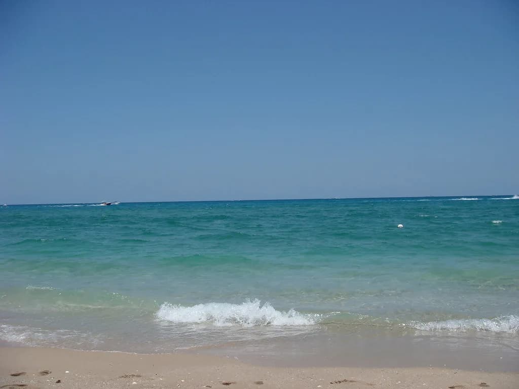 Peanut Island Snorkeling: Lagoon Entry, Tides and Gear