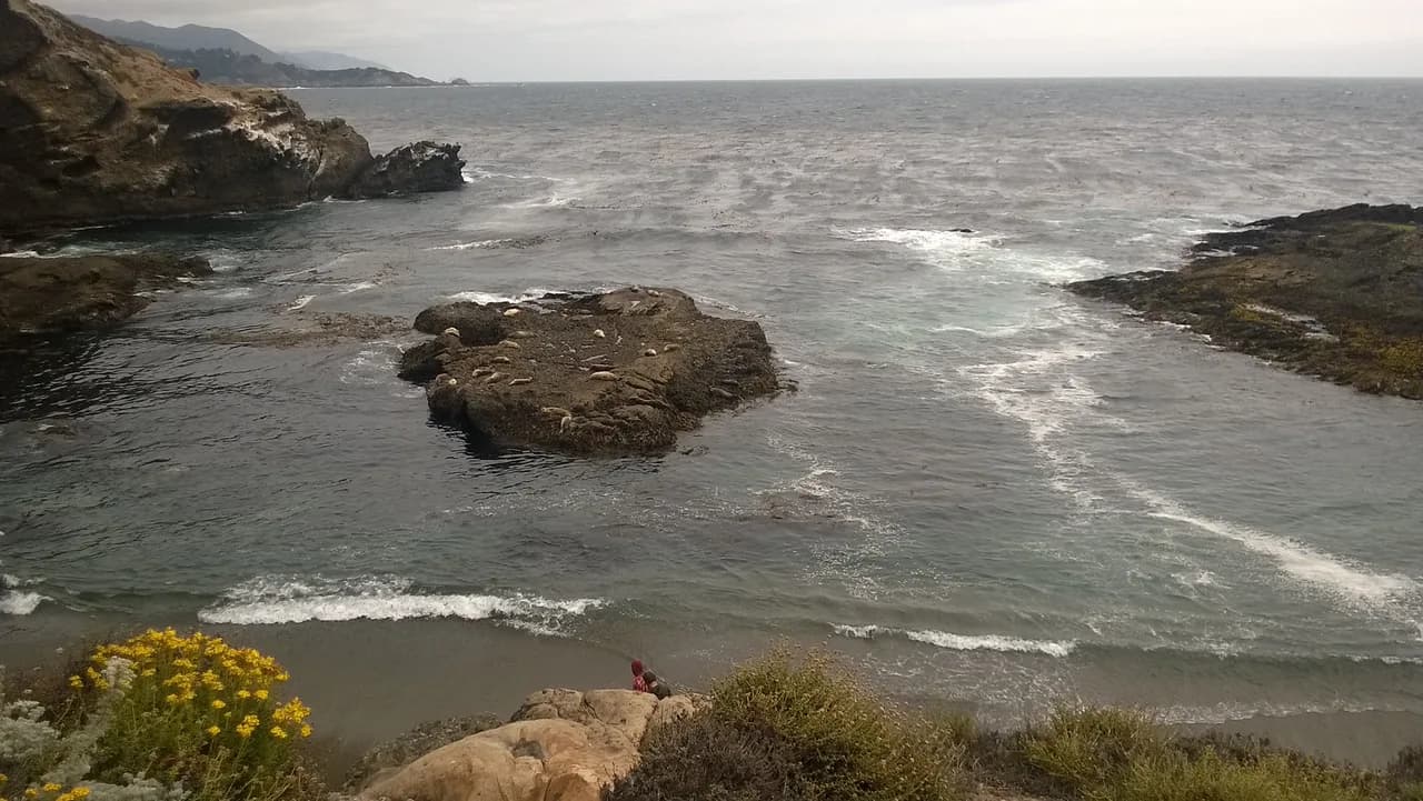 Point Lobos Snorkeling Guide: What to Expect in Monterey