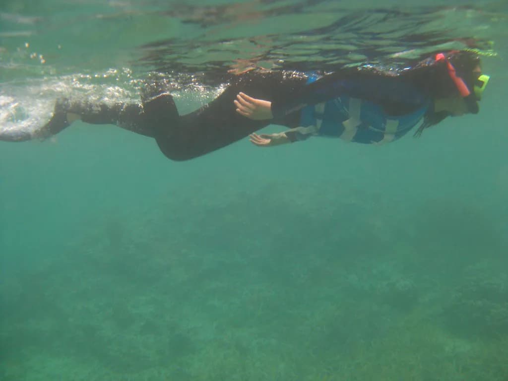 Puerto Rico Snorkeling Tours: Which Trip Fits Your Day