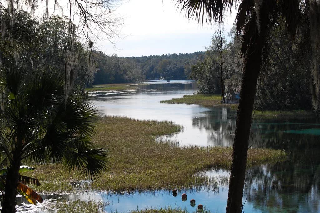 Rainbow River Snorkeling: State Park vs. KP Hole Drift
