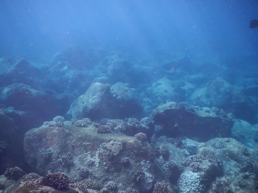 Rash Guard for Snorkeling: UPF, Fit and Sleeve Guide