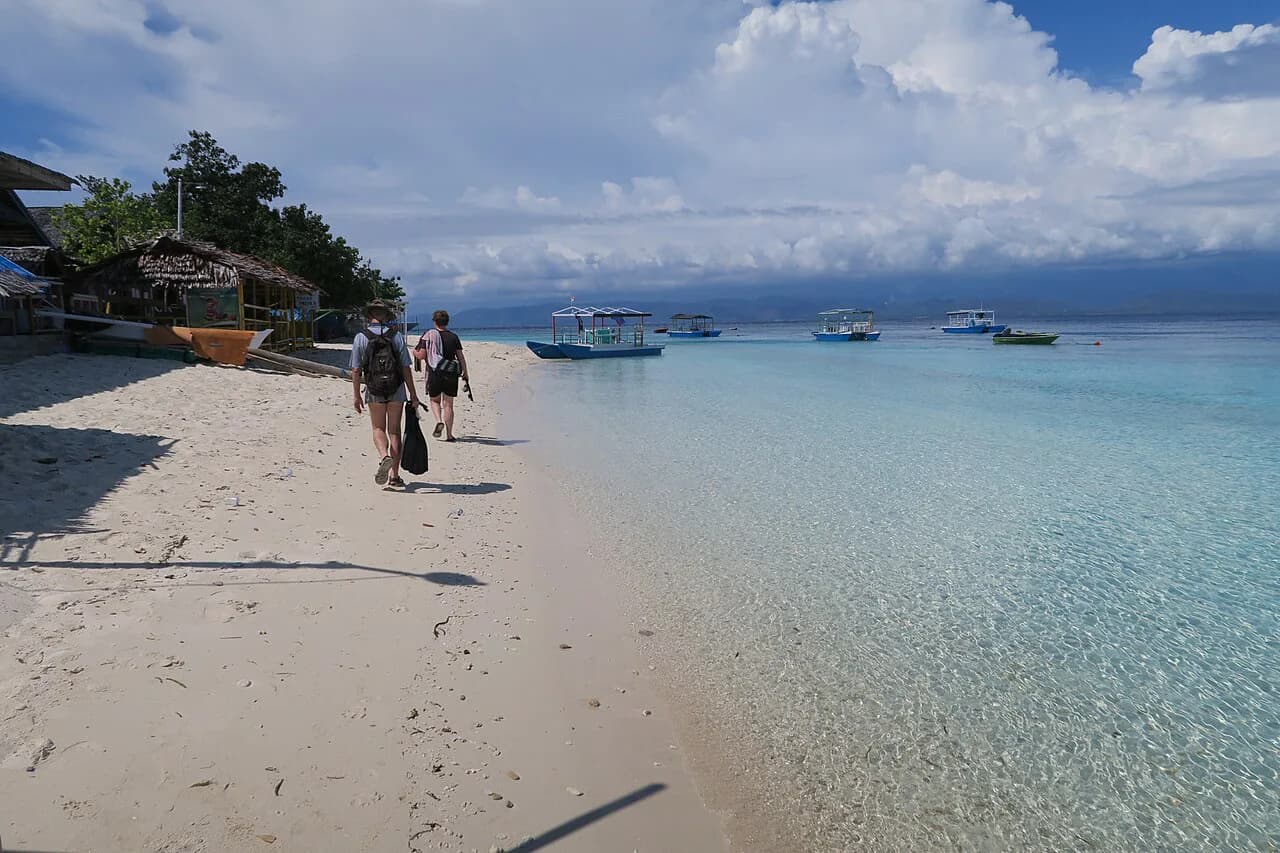 Reef Safe Sunscreen: Snorkel Gear Label Guide