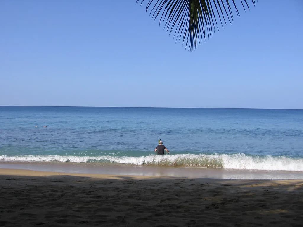 Rincon Snorkeling: Tres Palmas Marine Reserve Guide