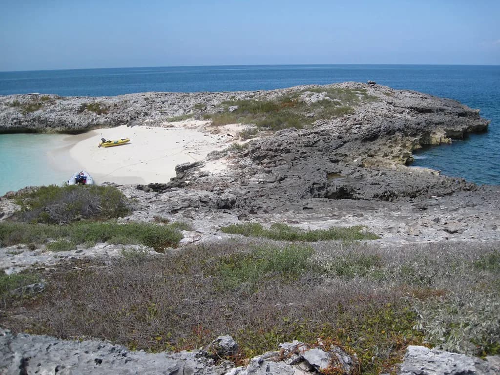 Rose Island Snorkeling: Reef Access, Marine Life and Timing