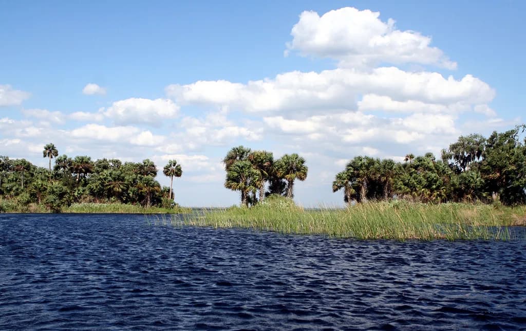 Salt Springs Snorkeling Guide: Florida Springs Planner