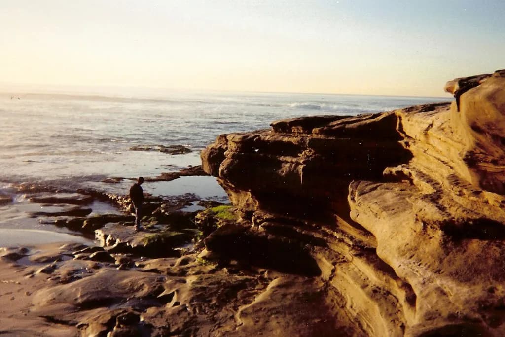 San Diego Snorkeling: La Jolla Cove Guide for Beginners
