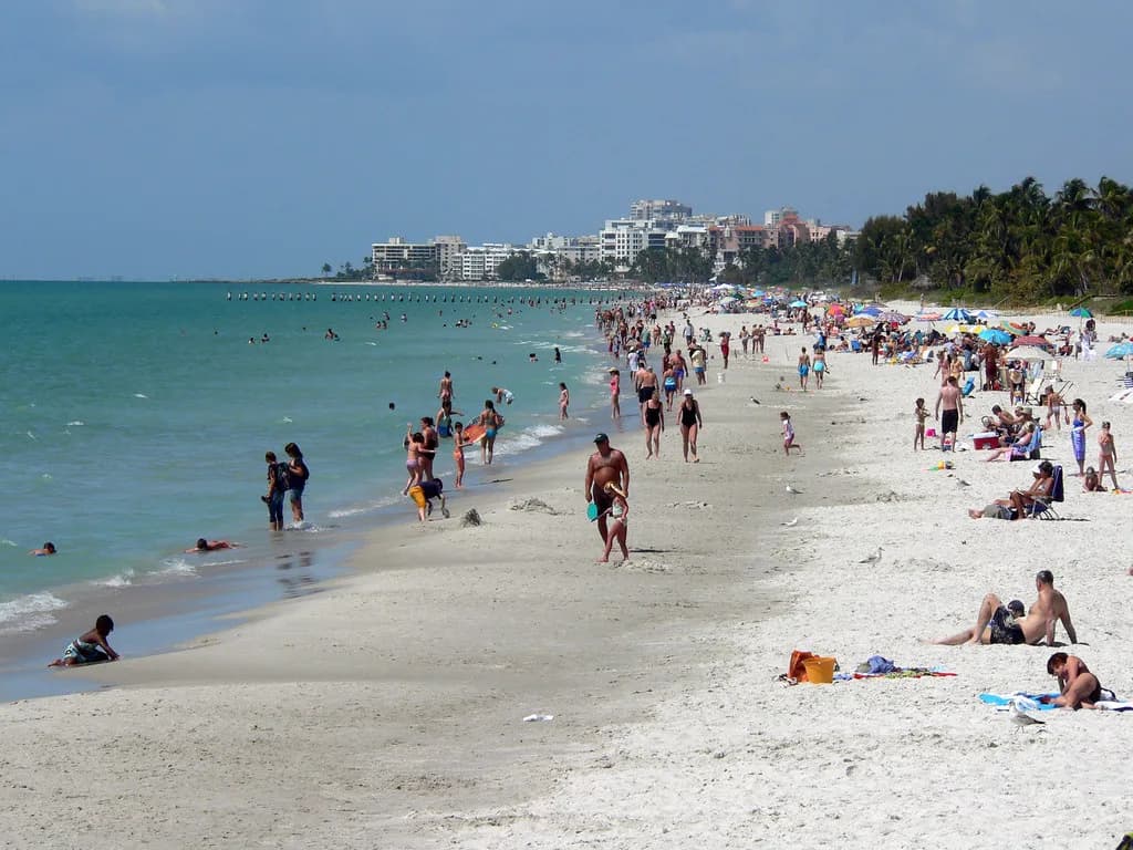 Sanibel Snorkeling: Grass Flats, Reefs and Boat Trips