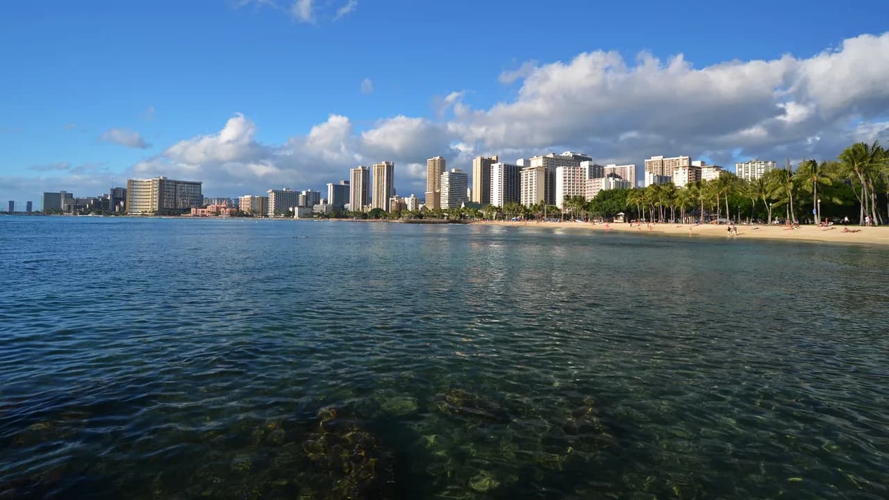 Sans Souci Beach Snorkeling: Waikiki's Beginner Reef Guide