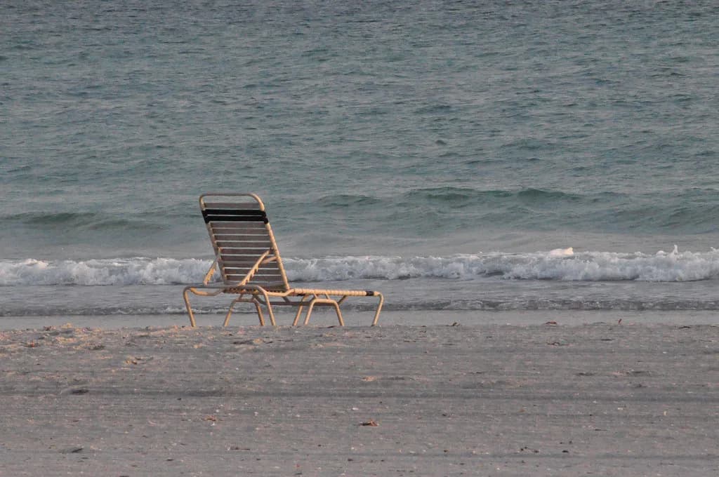 Sarasota Snorkeling Tours: Point of Rocks & Charter Picks