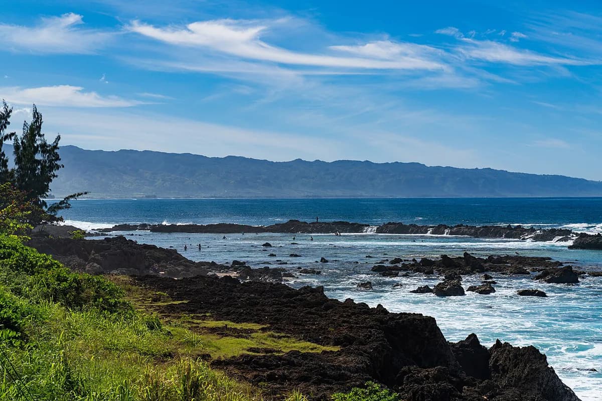 Sharks Cove Snorkeling Oahu: Entry, Reef & What to See
