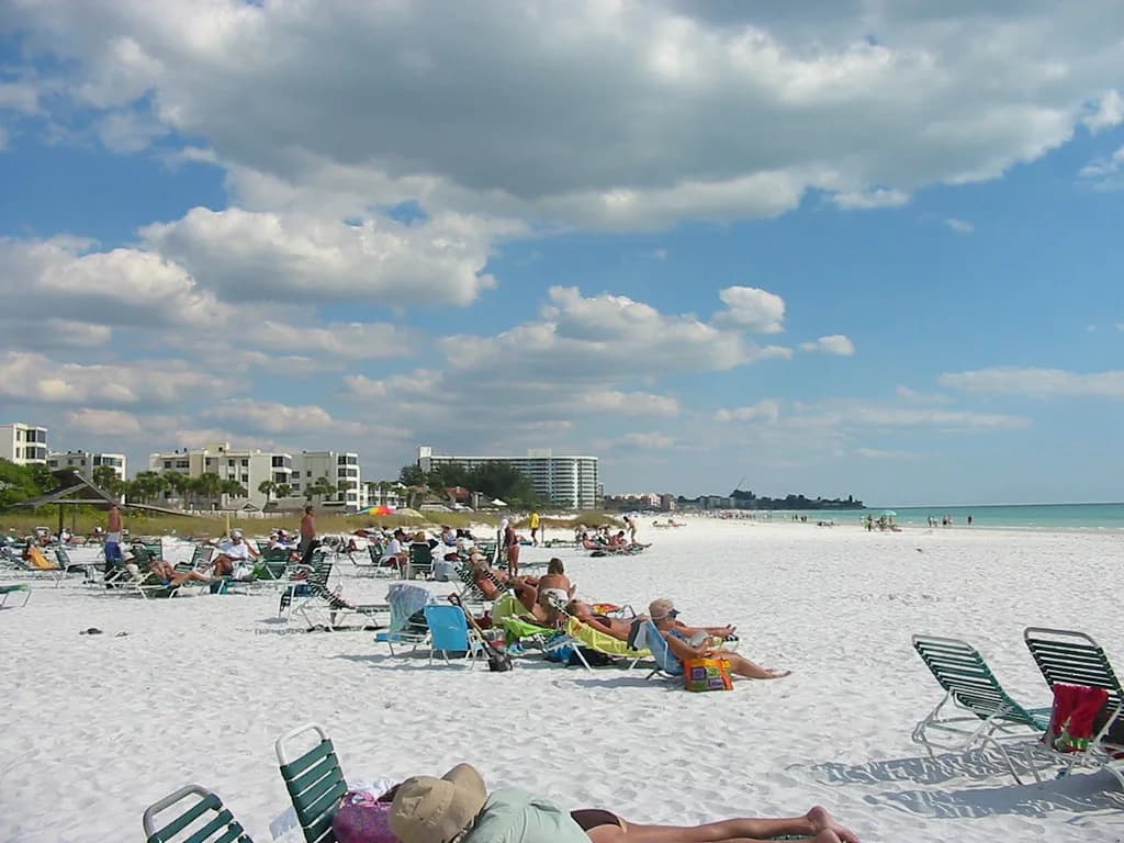 Siesta Key Snorkeling: Point of Rocks and Where to Get In