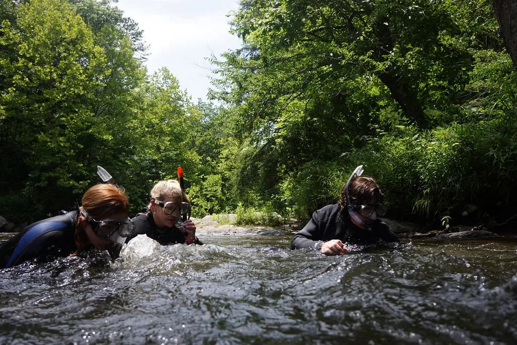 Can You Snorkel Without Knowing How to Swim? A Beginner's Plan