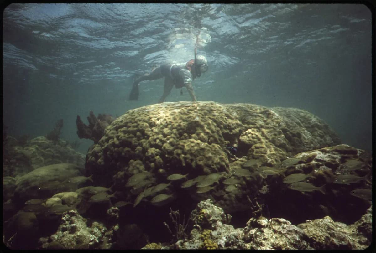 Snorkeling Gloves: When You Need Them and How to Choose