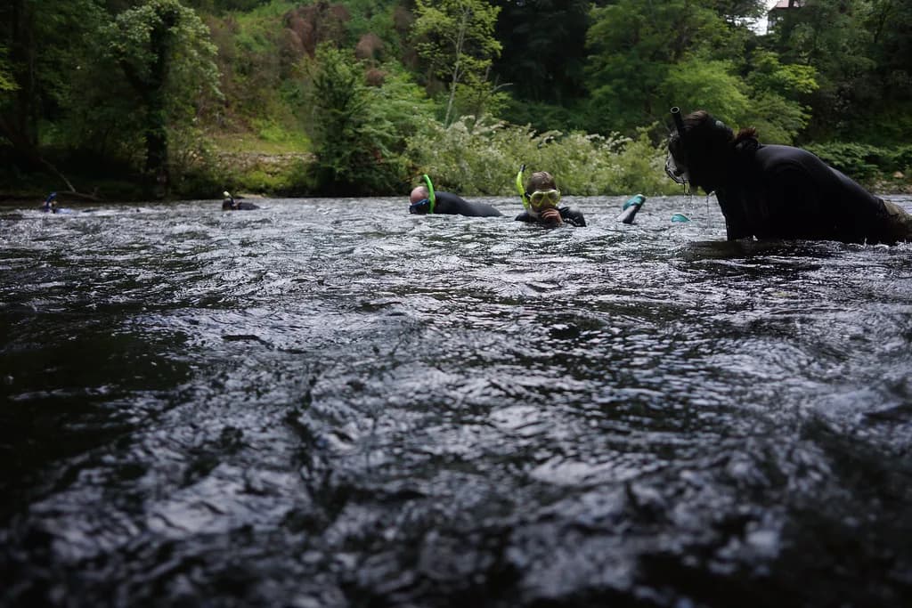 Snorkeling While Pregnant: A Low-Effort, Shallow-Water Plan