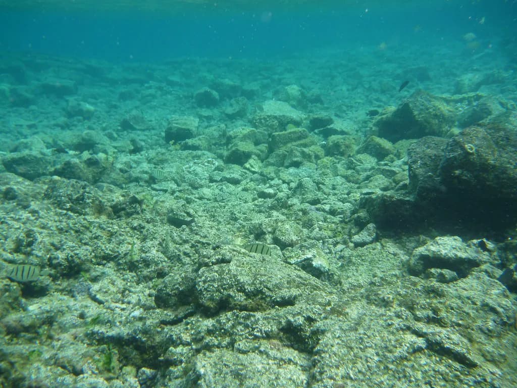 Snorkeling With a Beard: How to Get a Mask Seal That Holds