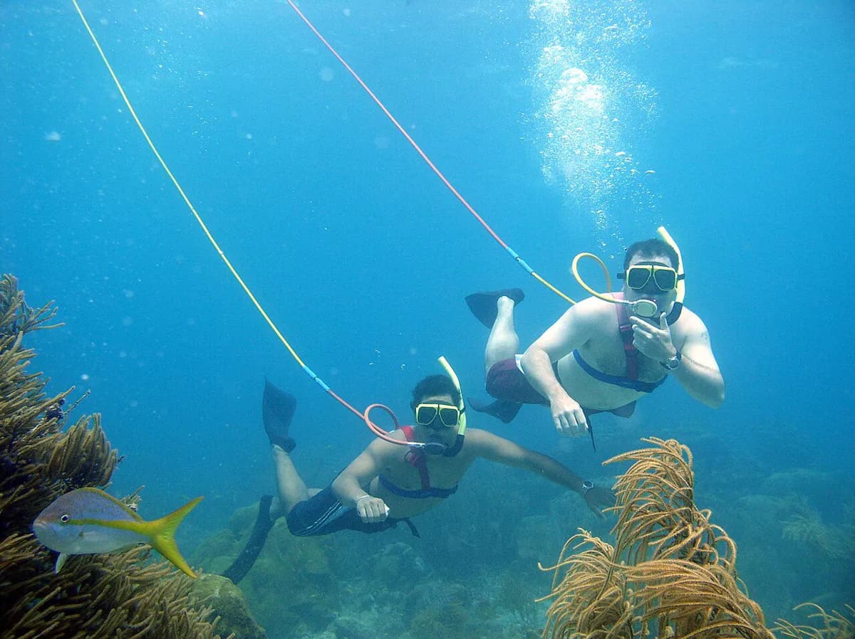 Snuba vs Snorkeling: Which One Fits Your Ocean Day?