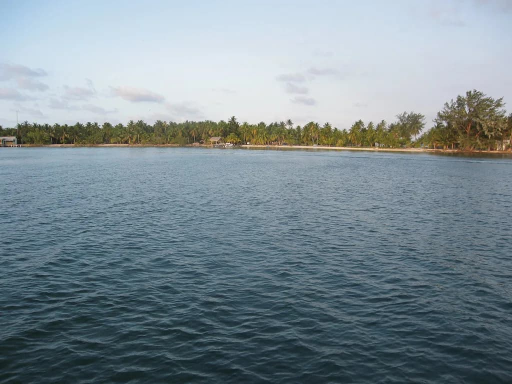 South Water Caye Snorkeling: Shore Reef and Reserve Boat Trips